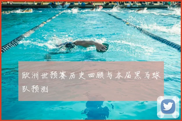 欧洲世预赛历史回顾与本届黑马球队预测