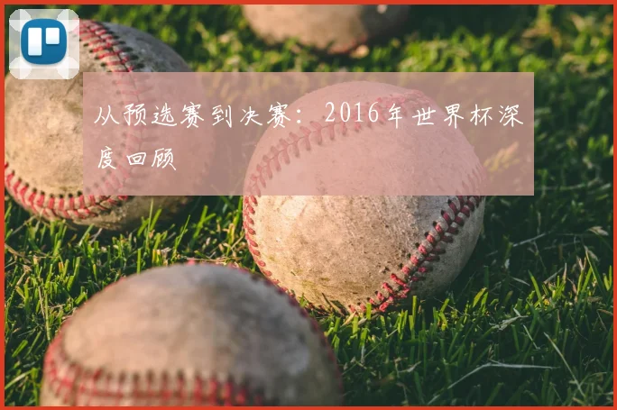 从预选赛到决赛：2016年世界杯深度回顾