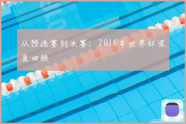 从预选赛到决赛:2016年世界杯深度回顾