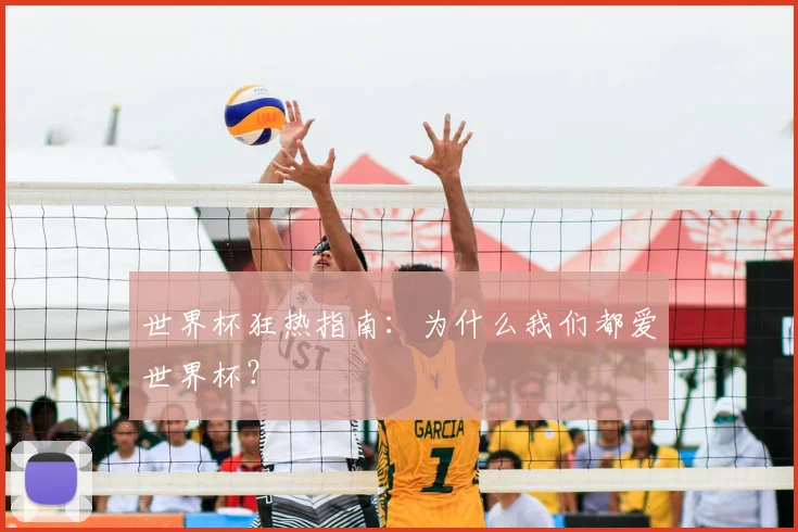 世界杯狂热指南：为什么我们都爱世界杯？