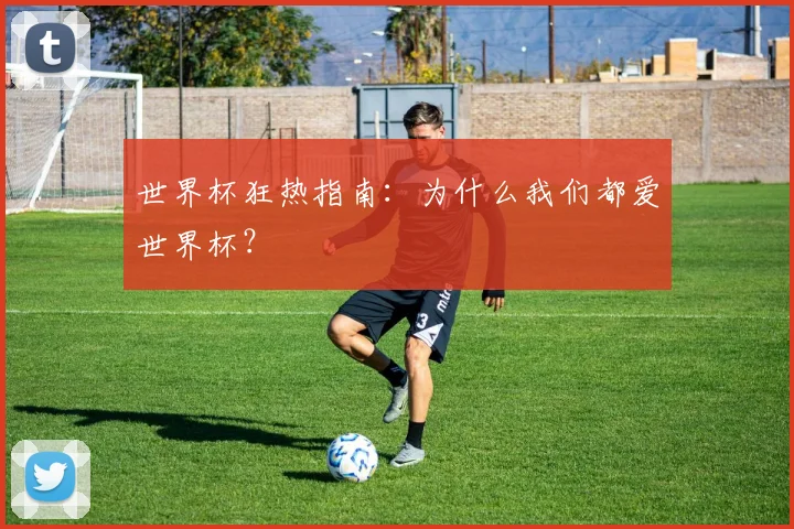 世界杯狂热指南:为什么我们都爱世界杯?